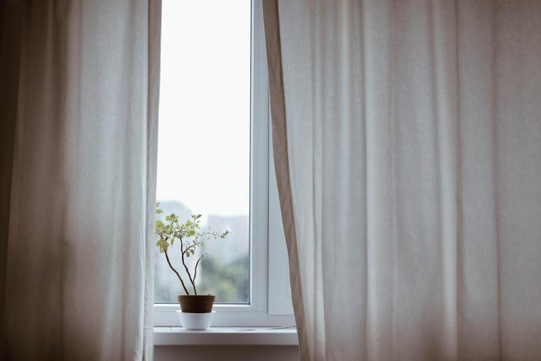 Blog-2